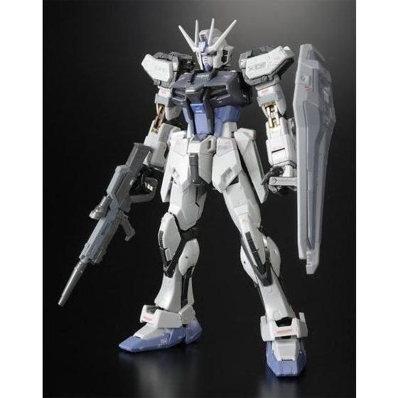 RG［リアルグレード］｜バンダイナムコグループ公式通販サイト