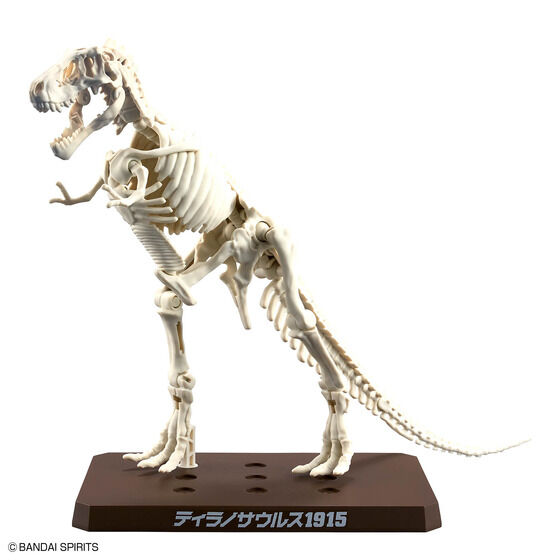 プラノサウルス ティラノサウルス1915