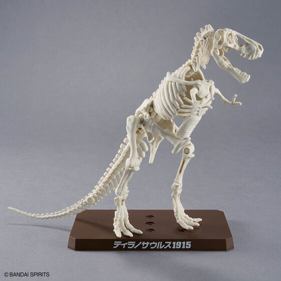 プラノサウルス ティラノサウルス1915