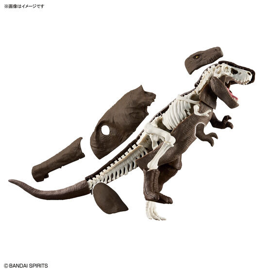 プラノサウルス ティラノサウルス1915