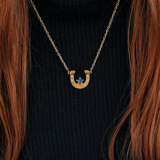 スティール・ボール・ラン ジョジョの奇妙な冒険 アクセサリー