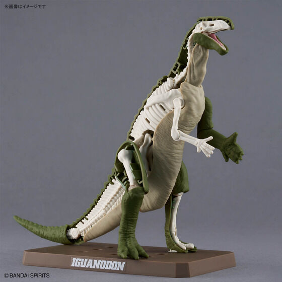 プラノサウルス イグアノドン