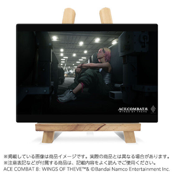 ACE COMBAT 8 オリジナルキャラファインボード5 | アニメグッズ
