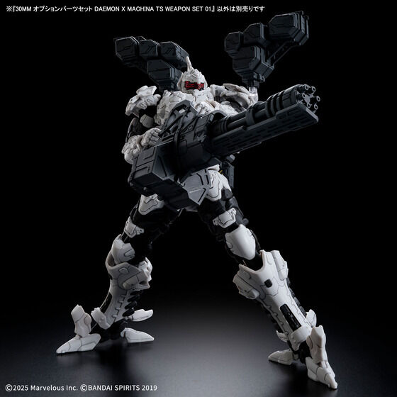 30MM オプションパーツセット DAEMON X MACHINA TS WEAPON SET 01