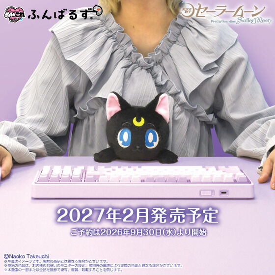 美少女戦士セーラームーンシリーズ｜ アニメグッズ ・フィギュア