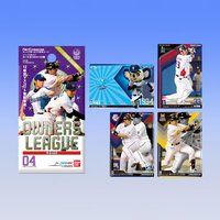 プロ野球 OWNERS LEAGUE 2011 04