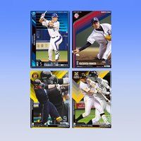 プロ野球 OWNERS LEAGUE 2011 03