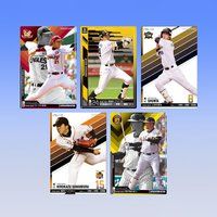 プロ野球 OWNERS LEAGUE 2011 02　自販機ブースター