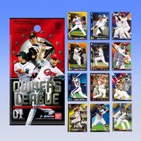 プロ野球 OWNERS LEAGUE 2011 01
