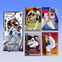 プロ野球 OWNERS LEAGUE -2010 OWNERS DRAFT 04-