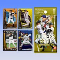 プロ野球 オーナーズリーグ　-2010 OWNERS DRAFT 03-