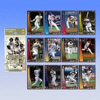 プロ野球　オーナーズリーグ　2010　01〔OL01〕