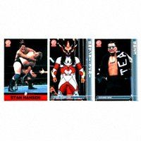 新日本プロレスリングトレーディングカード２００２