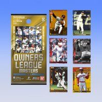 プロ野球 OWNERS LEAGUE MASTERS 2012
