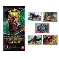 オーナーズホース サラブレッドロワイヤル01 ブースターパック