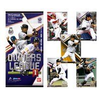 プロ野球オーナーズリーグ 2013 01