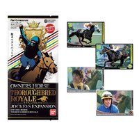 オーナーズホース サラブレッドロワイヤル ジョッキーズエキスパンション