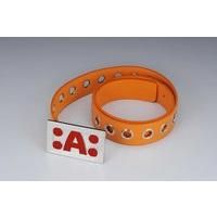 �����s�[�X�@�G�[�X�x���g