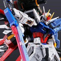 ＜プレミアム バンダイ＞ＲＧ 1/144 パーフェクトストライクガンダム