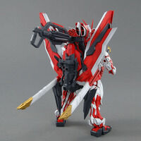 MG 1/100 �K���_���A�X�g���C���b�h�t���[����