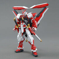 MG 1/100 �K���_���A�X�g���C���b�h�t���[����