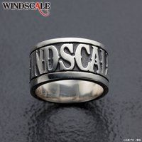 ʃC_[W WIND SCALE@ silver925@O