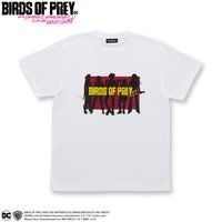 Birds of Prey o[YEIuEvC TVc VGbgS