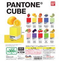 PANTONE CUBEy2F2021N5z