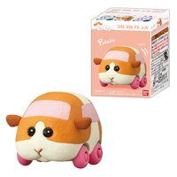 PUI PUI J[ RRtY(12)