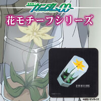 @mK_00 ԃ`[tV[Y K[[nJ`