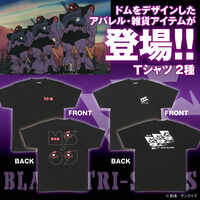 @mK_@h̓ACe@TVc