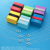 �y�V�e�j�X�̉��q�l�zTHE KISS�@�V���o�[�l�b�N���X�y�Ĕ́@2023�N3�����͂��z