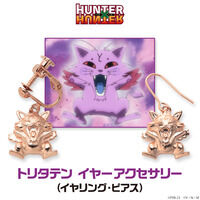 HUNTER~HUNTER@g^eC[ANZT[iЎpj