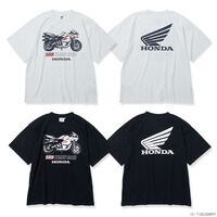 wVEʃC_[xHonda  TVc TCN