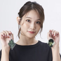 ���ʃ��C�_�[�M�[�c�@�f�t�H�����@�A�N�����`���[��