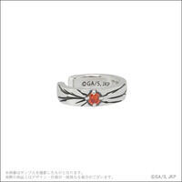 ��p����~�G�e���m���V�@���`�[�t�C���[�J�t�y�Ĕ́z