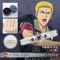 �y�V�e�j�X�̉��q�l�zTHE KISS�@�t���b�O���`�[�t�����O��3�e �s�������w�Z(�S7��)