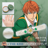 �y�V�e�j�X�̉��q�l�zTHE KISS�@�t���b�O���`�[�t�����O��3�e�@�R�����w�Z(�S8�� )