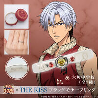�y�V�e�j�X�̉��q�l�zTHE KISS�@�t���b�O���`�[�t�����O��3�e�@�Z�p���w�Z(�S7�� )