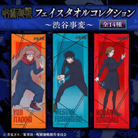 ��p����@�t�F�C�X�^�I���R���N�V�����@�a�J���ρi�S14��j