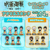 �y�n�s�N���I�z��p���� ���ʁE�ʐ� ���傱��Ƃ̂�����~�j�L���� �A�N�����X�^���h�i�S14��j