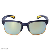 STRICT-G SWANS�w�@����m�K���_��UC�x�T���O���XER-1 �o���V�B�E�m�������f��