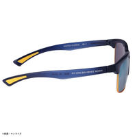 STRICT-G SWANS�w�@����m�K���_��UC�x�T���O���XER-1 �o���V�B�E�m�������f��