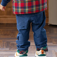 ���ܕԂ��`�F�b�N�{�g��