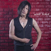 ���ʃ��C�_�[W�@WIND SCALE�@�� �đ��Y�x�X�g ver.3