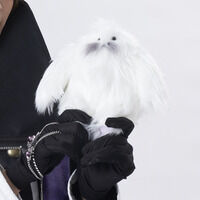 ���l����L���O�I�[�W���[�@�����ӂ�@�}�X�R�b�g�`���[���y��z