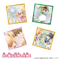 �J�[�h�L���v�^�[������ �v�`�F�� �i12����j