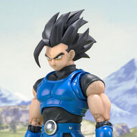 S.H.Figuarts Vbg