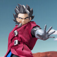 S.H.Figuarts Wubg