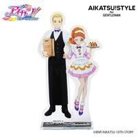 予約販売】アイカツ！シリーズChibiぬいぐるみ プレミアムレア